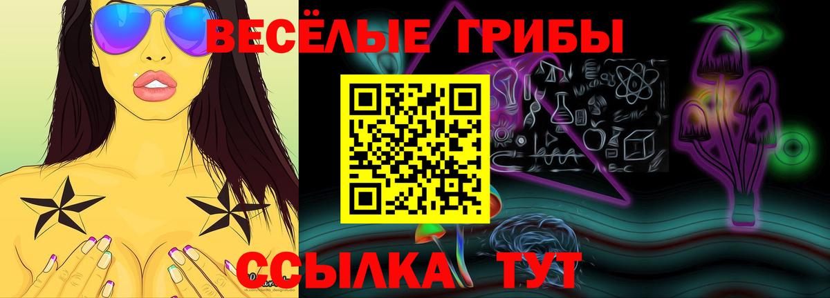 Саратов  Псилоцибиновые грибы MAGIC MUSHROOMS  Вход с VPN 